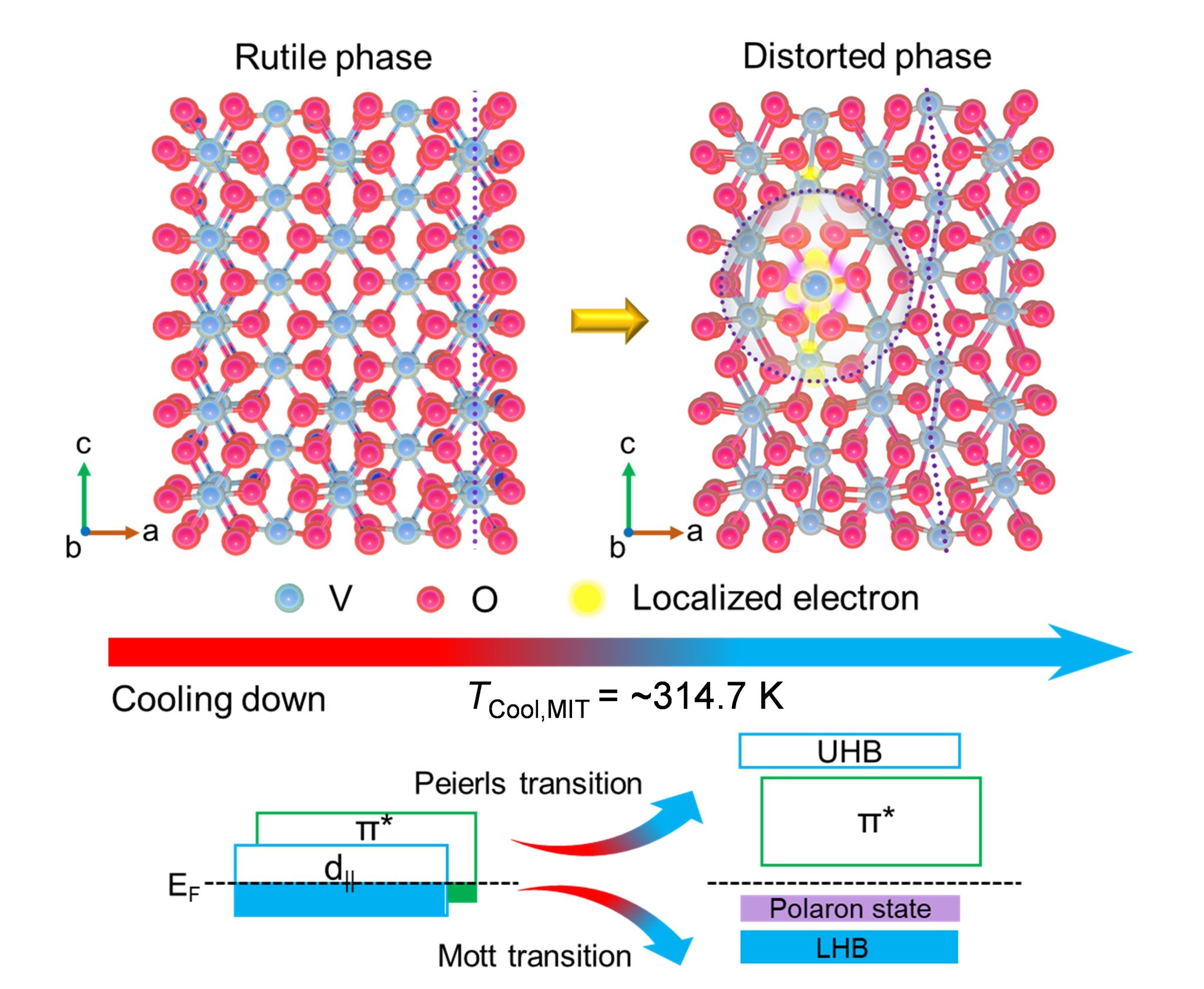 20250123-2.jpg 20250123-2.jpg