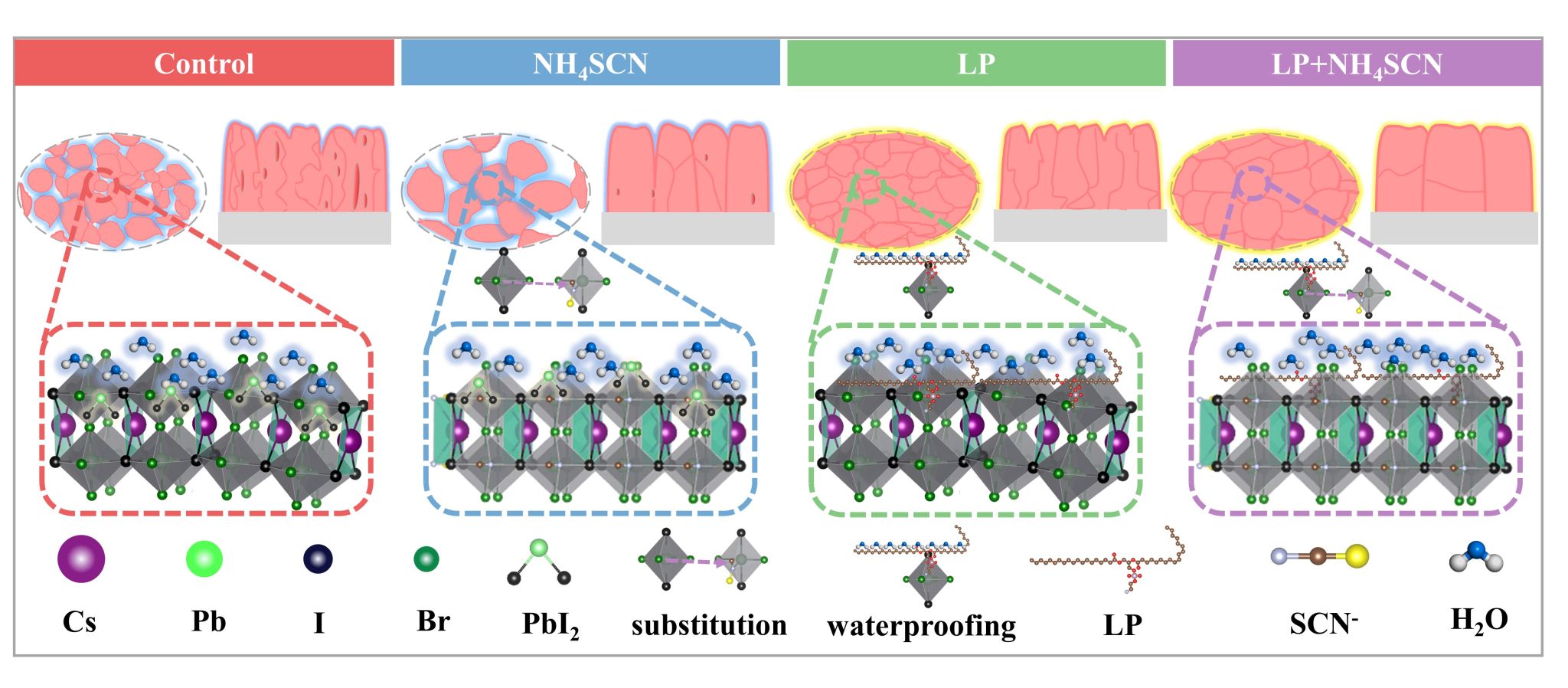20241113-52.jpg 20241113-52.jpg